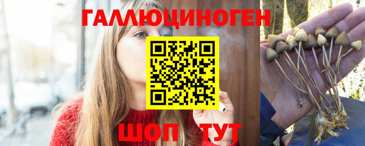 Галлюциногенные грибы Psilocybine cubensis  Галлюциногенные грибы ЛСД  Вход с VPN  Лабинск 